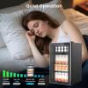 image46 Bottle 234 Inches Refrigerator Wine Fridge for Red White Champagne Beer Temperature 41F68F Freestanding Builtin Glass Door 53 CuftDual Zone SilverBlack
