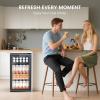image46 Bottle 234 Inches Refrigerator Wine Fridge for Red White Champagne Beer Temperature 41F68F Freestanding Builtin Glass Door 53 CuftDual Zone SilverBlack