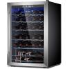 image46 Bottle 234 Inches Refrigerator Wine Fridge for Red White Champagne Beer Temperature 41F68F Freestanding Builtin Glass Door 53 CuftDual Zone SilverSilver
