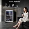 image46 Bottle 234 Inches Refrigerator Wine Fridge for Red White Champagne Beer Temperature 41F68F Freestanding Builtin Glass Door 53 CuftDual Zone SilverSilver