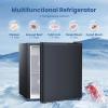 imageSkincare Fridge With Builtin LED Light Mirror 4L Compact Mini Refrigerator ACDC Portable 6 Can Small Cosmetics Cooler for Makeup Beverage Food Bedroom Office ampamp Dorm BlackBlack